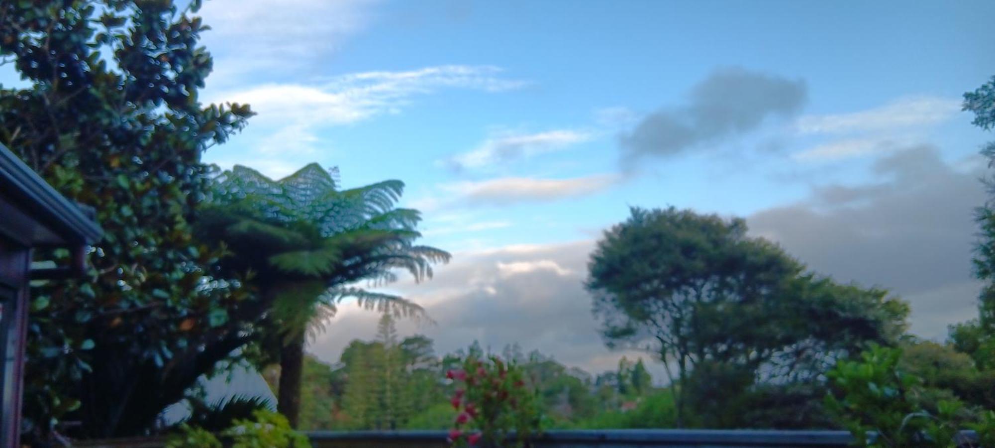Tastebuds Bed N Breakfast Auckland Kültér fotó
